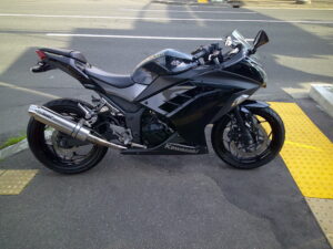 Kawasaki Ninja250　ＷＲ’Ｓサイレンサー　リアフェンダーレス　可倒式ショートレバー