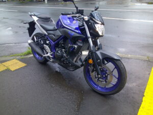 YAMAHA MT-25 Performance Damper